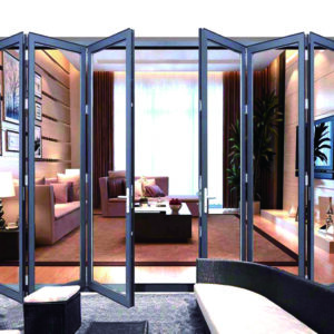 Folding Door